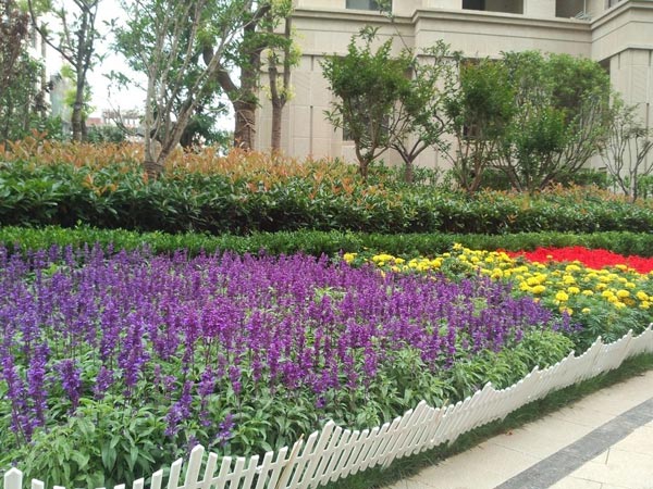 園林綠化 園林綠化